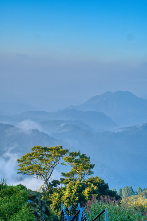 阿里山鄉 / Taiwan / 2025