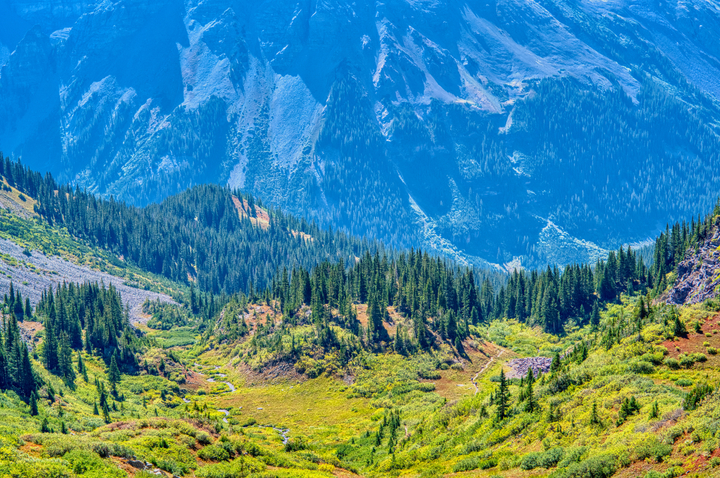 Pitkin County / United States / 2025
