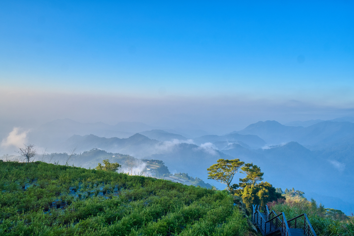 阿里山鄉 / Taiwan / 2025
