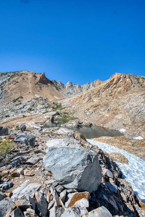 Nature / Madera County / 2025