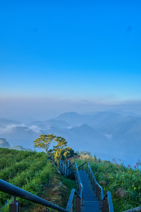 阿里山鄉 / Taiwan / 2025