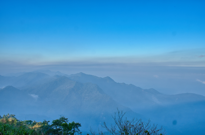 阿里山鄉 / Taiwan / 2025