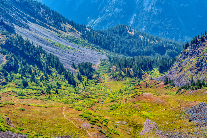 Pitkin County / United States / 2025