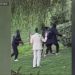 Video: Wedding photographer attacked during attempted robbery at SF's Palace of Fine Arts