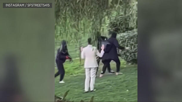 Video: Wedding photographer attacked during attempted robbery at SF's Palace of Fine Arts