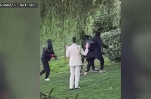 Video: Wedding photographer attacked during attempted robbery at SF's Palace of Fine Arts