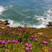 Best Bay Area Hikes for Spring: Where to See Waterfalls, Wildflowers and Mushrooms After All That Rain