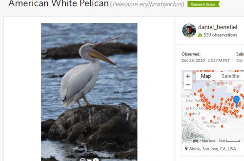 Map: Most popular spots for nature photography in the Bay Area