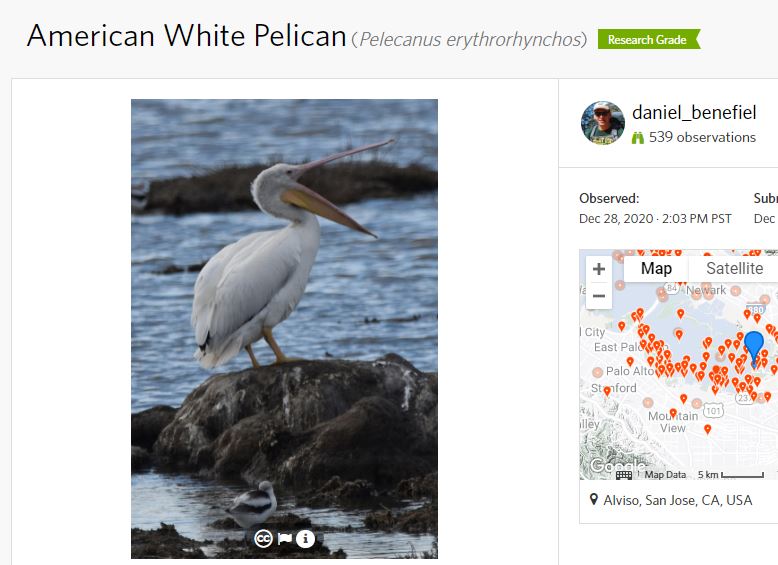 Map: Most popular spots for nature photography in the Bay Area