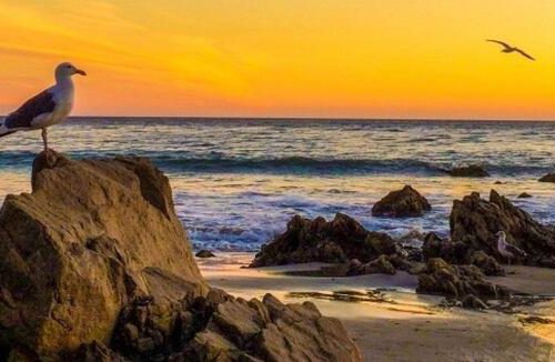 Photography Hotspots in Malibu: Capturing the Essence of Coastal California