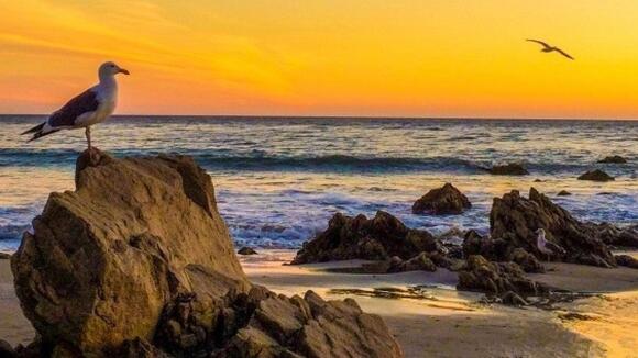 Photography Hotspots in Malibu: Capturing the Essence of Coastal California