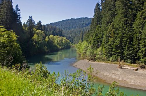 Humboldt Redwoods State Park: Your Gateway to the Giants