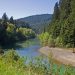 Humboldt Redwoods State Park: Your Gateway to the Giants