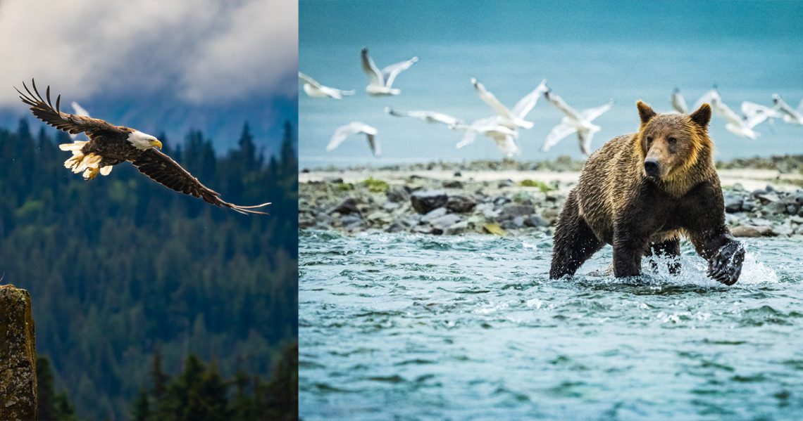 5 Unique Photography Experiences to Have in Alaska