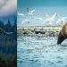 5 Unique Photography Experiences to Have in Alaska